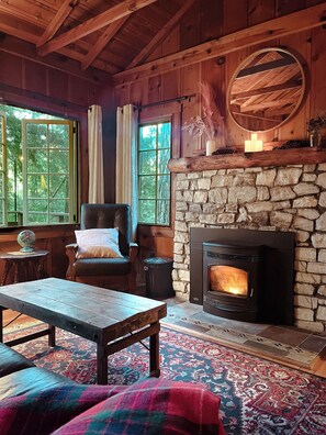 Smart TV, fireplace, books, music library