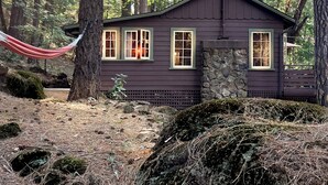 Una cabaña con base de piedra, rodeada de árboles altos y una hamaca.
