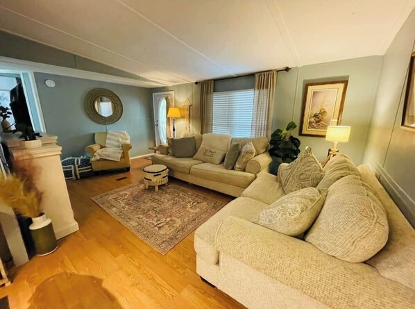 Smart TV, fireplace, books