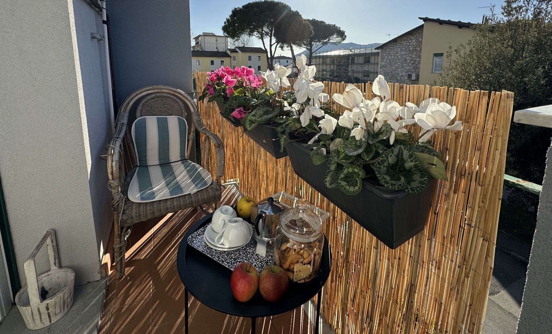 Parco della struttura