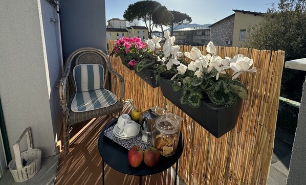 Property grounds - Apartment in Lucca with 3 bedrooms sleeps 4 (Lucca)