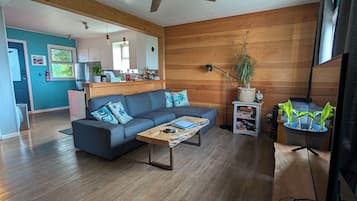Een smart-tv, een open haard, boeken en een muziekbibliotheek