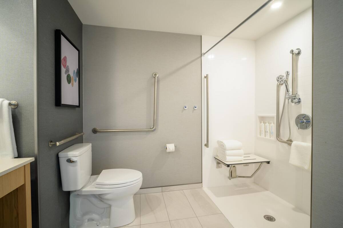Un bagno moderno con il water, una doccia dotata di mancorrenti e un quadro appeso alla parete.
