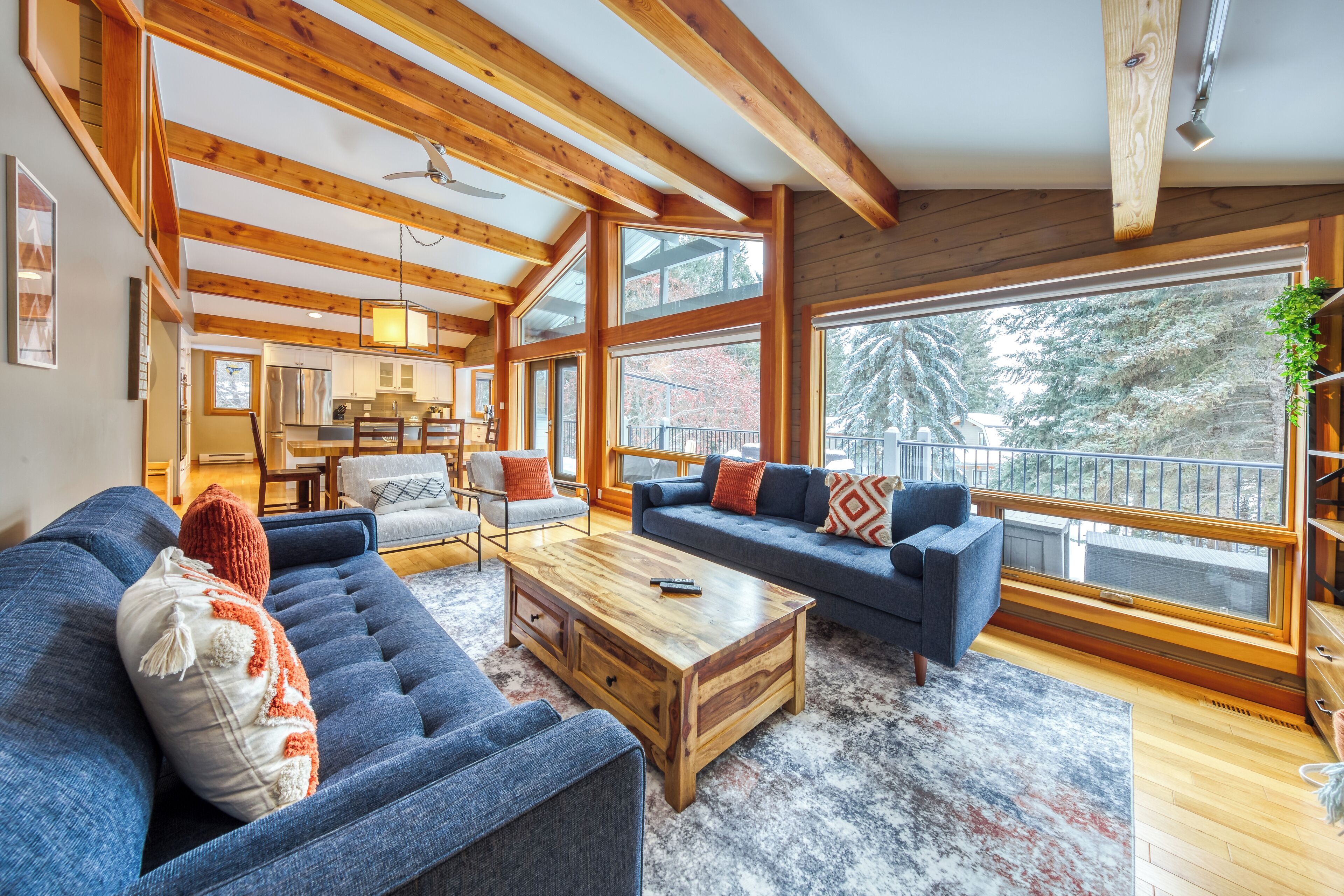 Televisión, reproductor de DVD y libros 