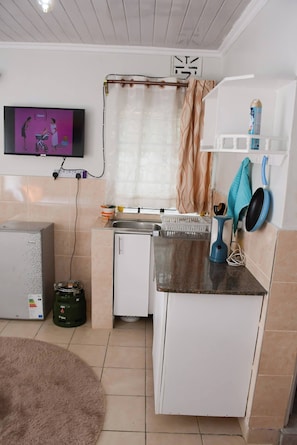 Fridge, stovetop, cookware/dishes/utensils