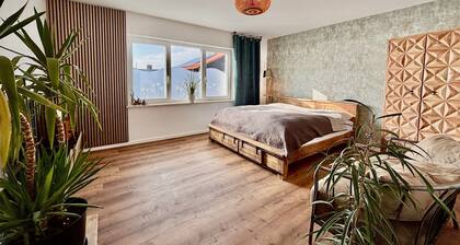 Apartment 'Dandelion' with Private Terrace and Wi-Fi