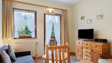 Fernseher, Stereoanlage