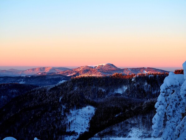 A mountainous landscape with snow-covered trees and a clear sky.