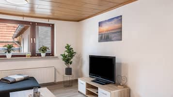Fernseher