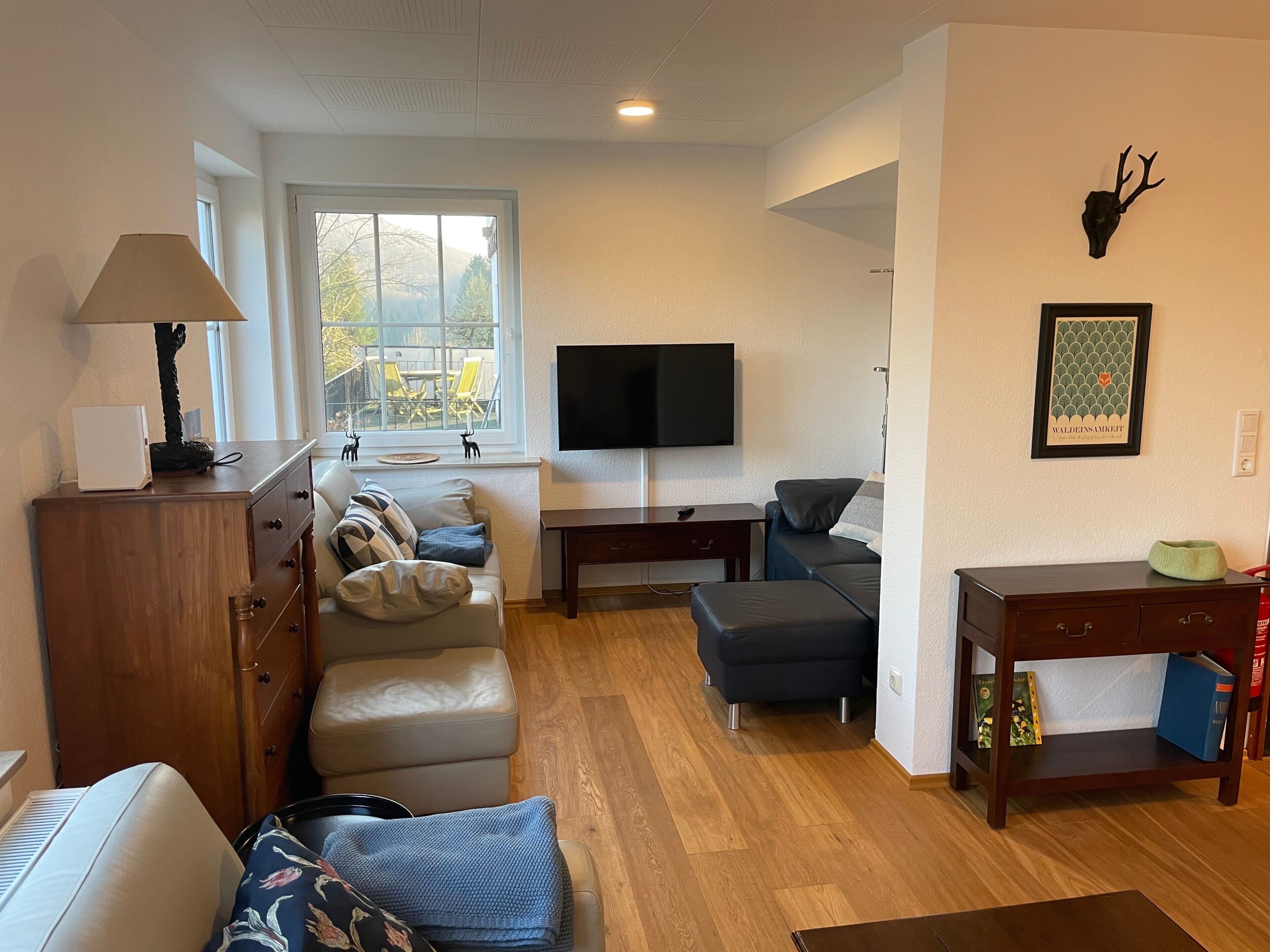 Ein Wohnzimmer mit Sofa, Hocker, Fernseher, Holzschrank und einem Fenster mit Blick.