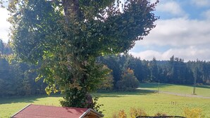 A wooden playhouse with a slide, a trampoline, and a tree in a grassy field.