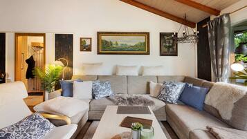 TV, fireplace, DVD player, table tennis