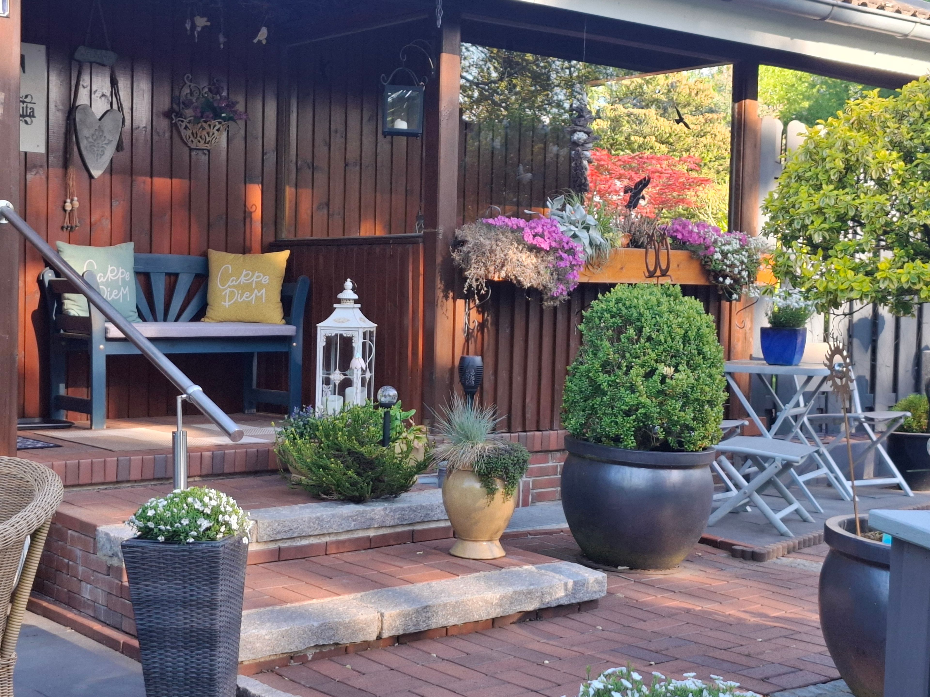Un espace extérieur abrité, aménagé avec un banc en bois, des plantes en pot et une lanterne.