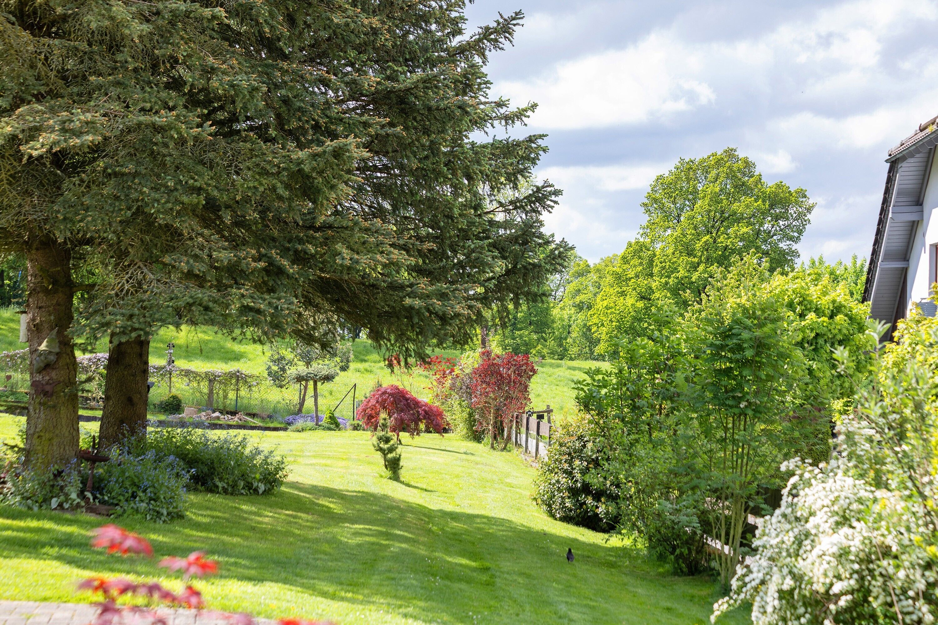 Terrein van de accommodatie