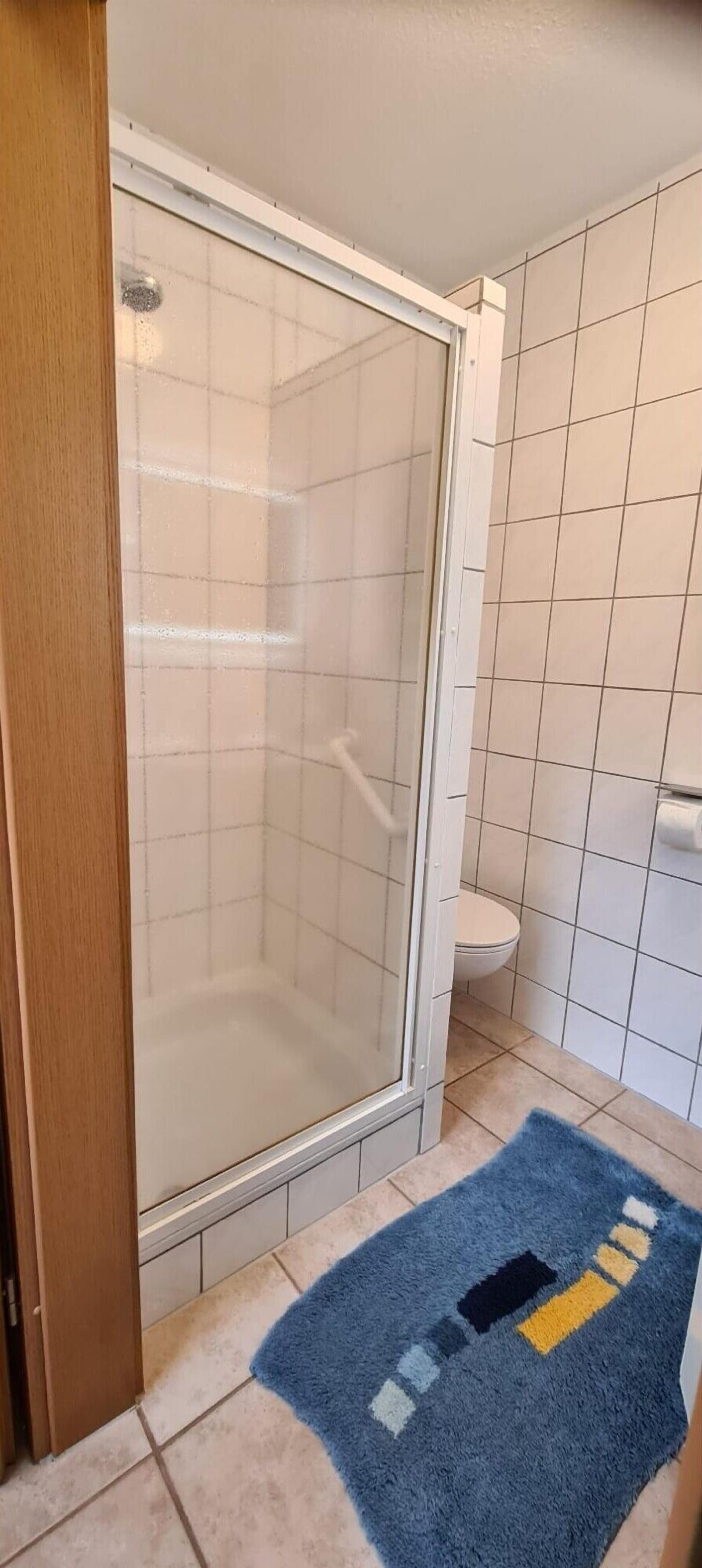 A bathroom with a glass shower enclosure, a toilet, and a blue rug with a geometric pattern.