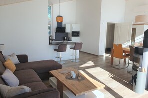 Smart-TV, Kamin