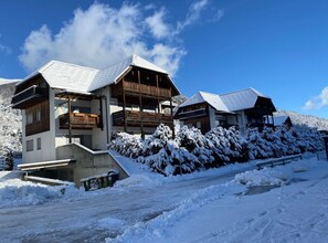 Apartment (One Bedroom Apartment) | Exterior - Rossiniweg Warm and Lovely Apartment With Terrace (Bad Kleinkirchheim)