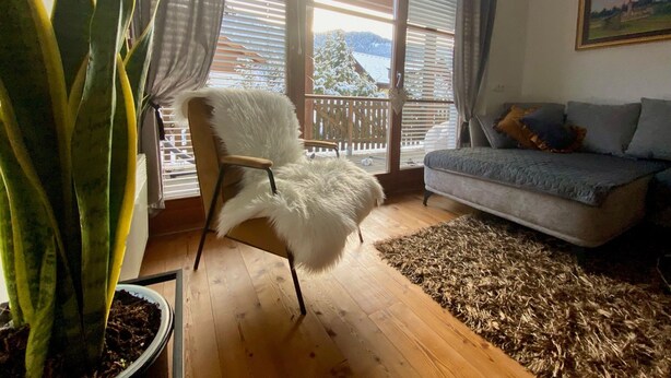 Un salon avec un canapé, un fauteuil, une grande plante et une vue sur un paysage enneigé par les fenêtres.
