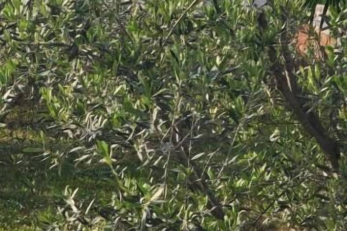 Luxe beddengoed, een kluis op de kamer, geluiddichte muren, gratis wifi