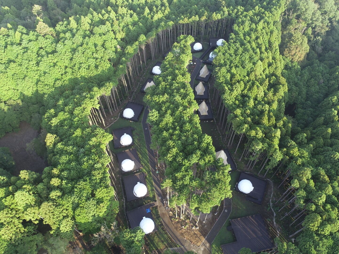 An aerial view of a forested area with several dome-shaped structures arranged in a semi-circular pattern.