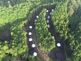 An aerial view of a forested area with several dome-shaped structures arranged in a semi-circular pattern.