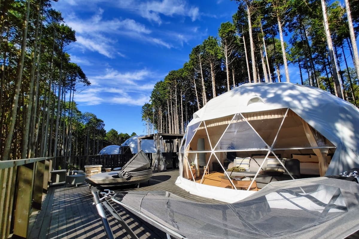 A dome-shaped tent with a wooden interior, surrounded by tall trees and a clear sky.