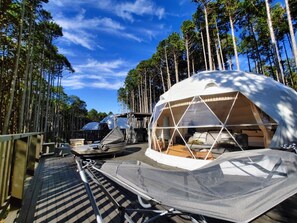 A dome-shaped tent with a wooden interior, surrounded by tall trees and a clear sky. - Forest Glamping Kanade no Mori Resorts (Ito)