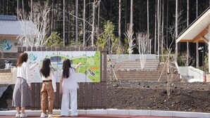 Un mapa que muestra un camino y árboles al fondo.