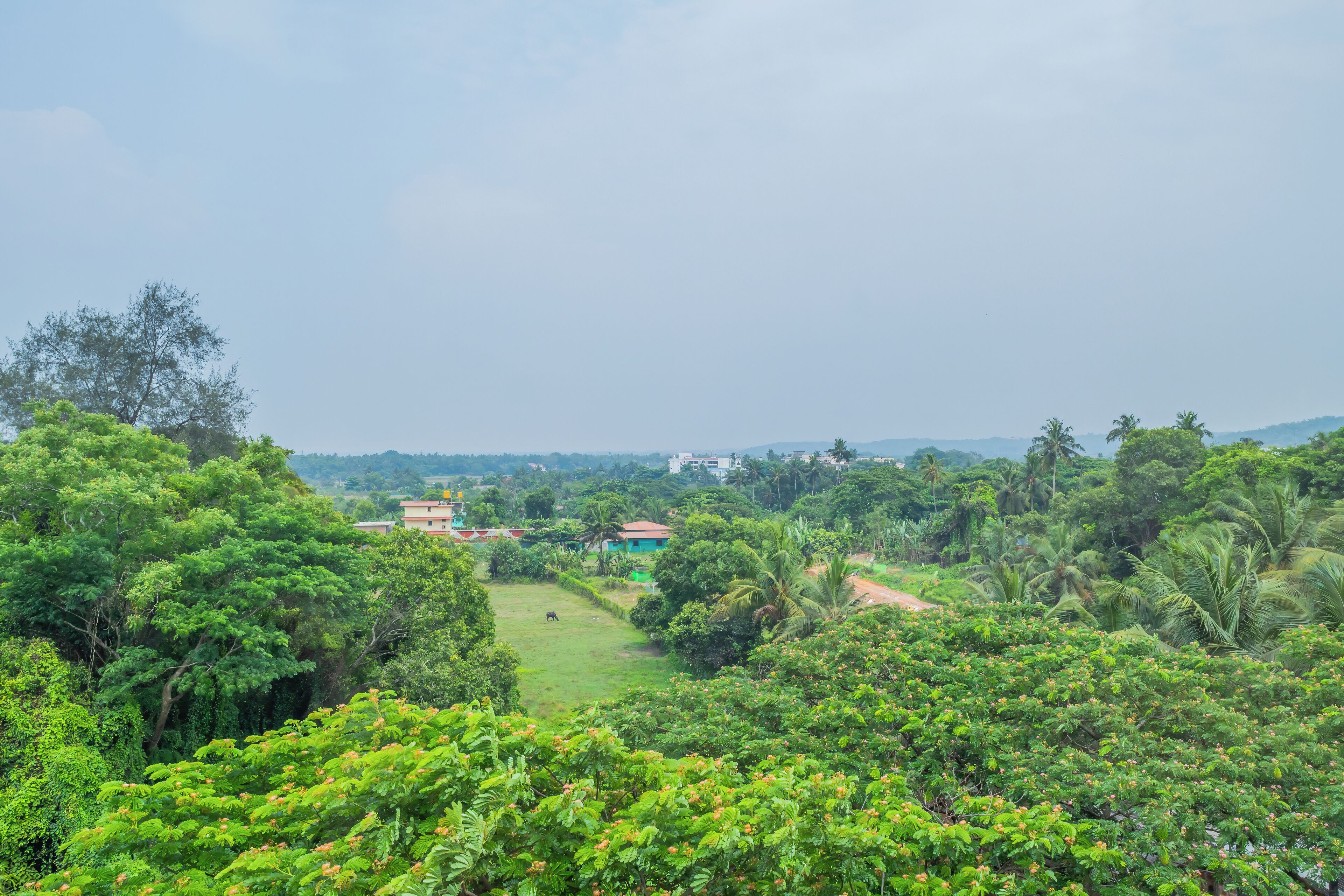 Foto - Effotel By Sayaji Calangute, Goa