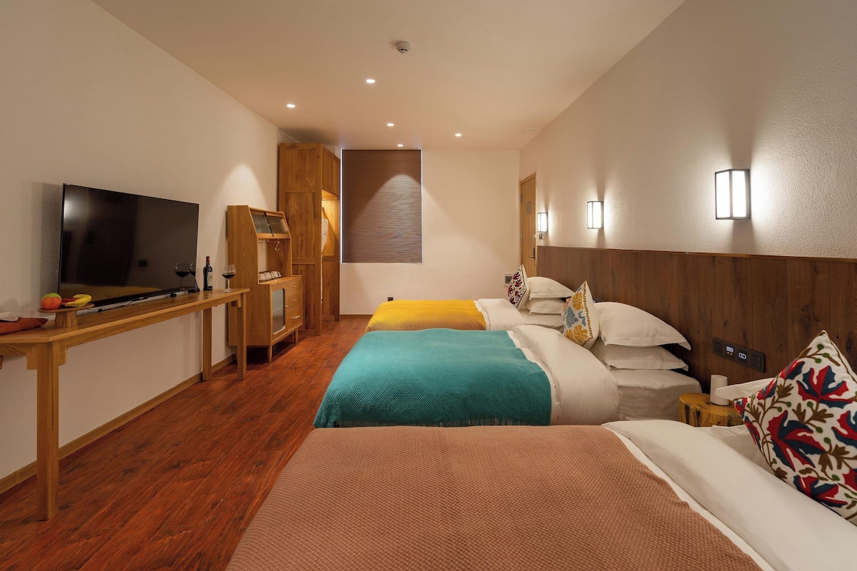 Basic Triple Room