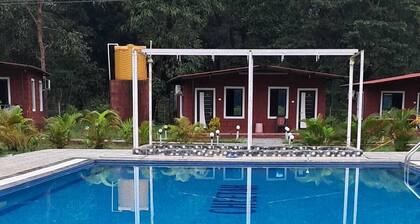 Cheetah Farms Jungle Stay