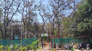 A landscaped area with a paved walkway, palm trees, and a signboard. - Cheetah Farms Jungle Stay (Haliyal)