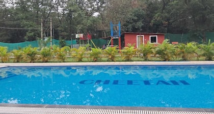 Cheetah Farms Jungle Stay