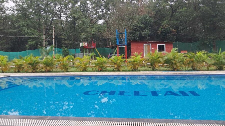 Cheetah Farms Jungle Stay