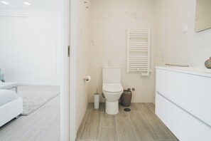 Ducha, secador de pelo, toallas y papel higiénico