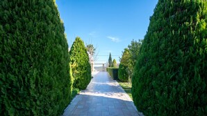 A paved pathway flanked by neatly trimmed evergreen hedges, leading to a building with a visible entrance. - Villa Angels in Crete (Malevizi)