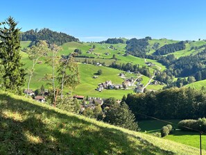 Esterni