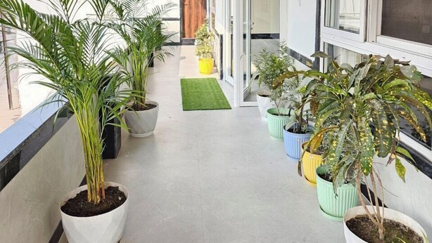 Un pasillo con plantas en macetas, techo de madera y puerta de vidrio que da a una habitación.