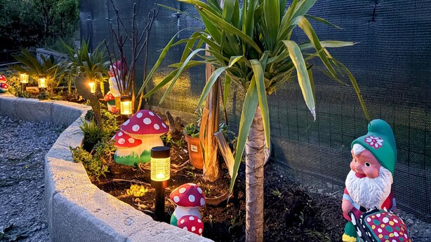 Un jardin agrémenté de figurines décoratives représentant des champignons et des gnomes, d’un palmier et d’une clôture en treillis métallique.