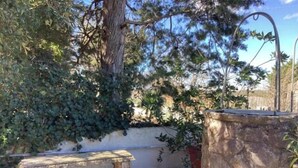 A stone bench and a stone planter in a garden area with a tree and a wall in the background. - The house in the woods (Gorgofreddo)