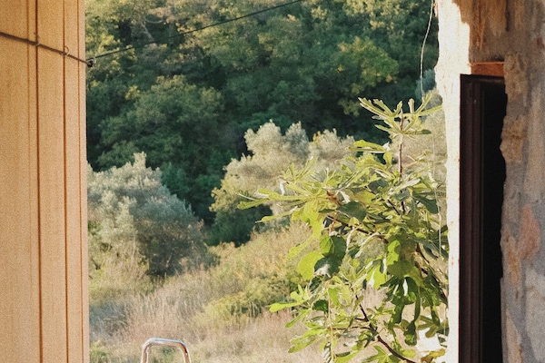 Douche, articles de toilette gratuits, sèche-cheveux