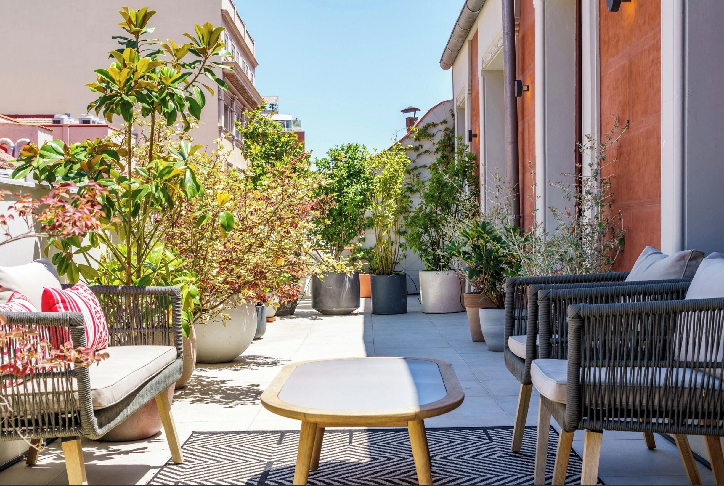 Terraza o patio