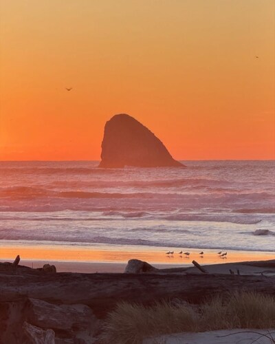 Secluded Beach Getaway at Heron's Hearth Beach Bungalow. Pet Friendly!