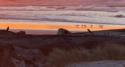 Secluded Beach Getaway at Heron's Hearth Beach Bungalow. Pet Friendly!