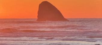 Secluded Beach Getaway at Heron's Hearth Beach Bungalow. Pet Friendly!