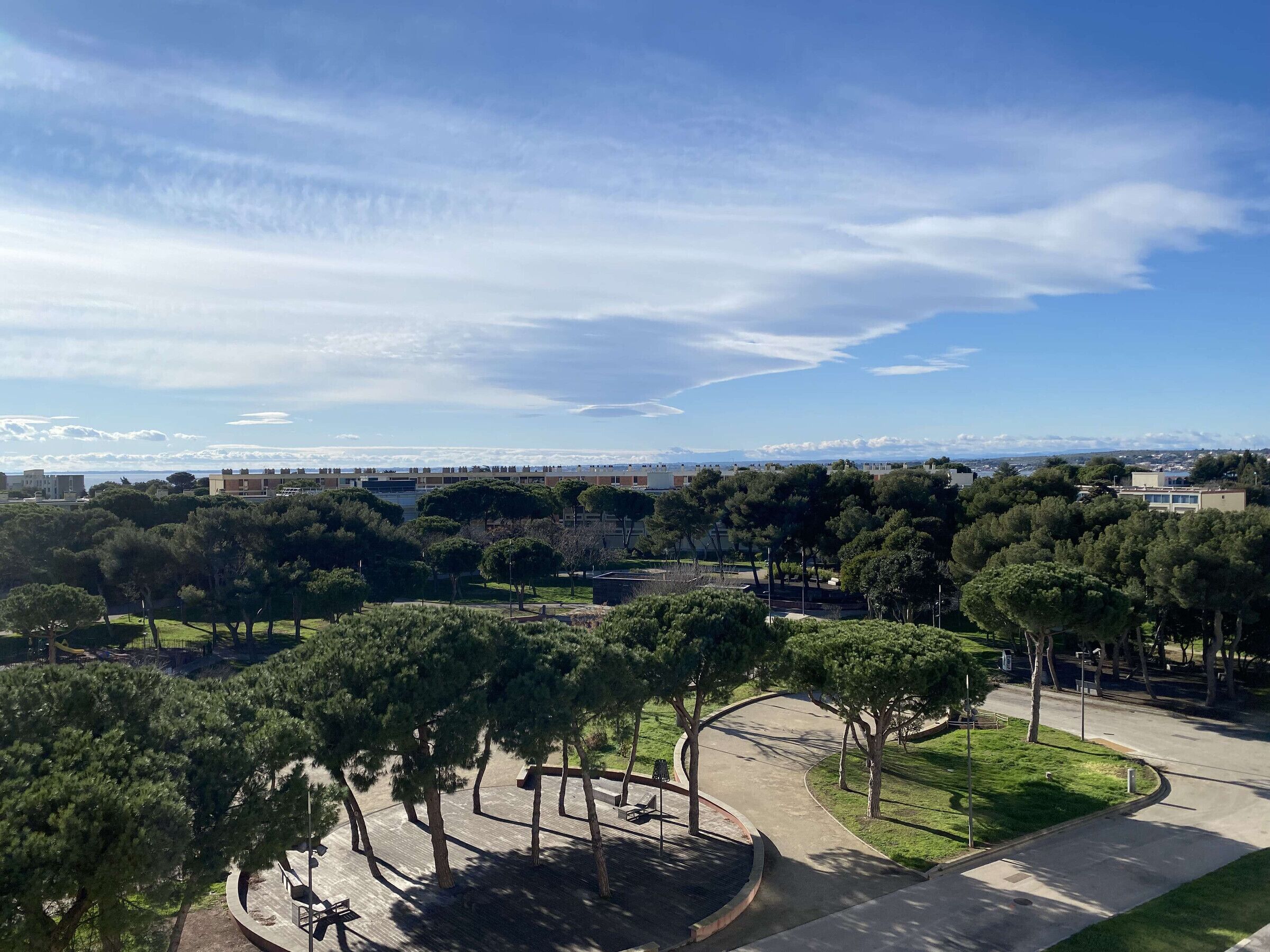 A park with trees, a curved pathway, and a distant view of buildings.