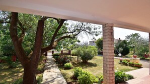 Un espace extérieur abrité, doté d’un chemin, d’arbres et de diverses plantes.