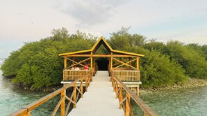 A wooden walkway leading to a covered structure with benches, surrounded by lush greenery and clear water. - Enchanting bed & breakfast with WiFi & AC in vibrant Thulusdhoo Coke Surf break (Thulusdhoo)