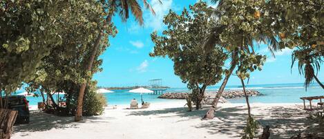 Plage à proximité, chaises longues, serviettes de plage