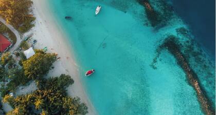 Enchanting bed & breakfast with WiFi & AC in vibrant Thulusdhoo Coke Surf break